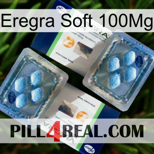 Eregra Soft 100Mg viagra5.jpg